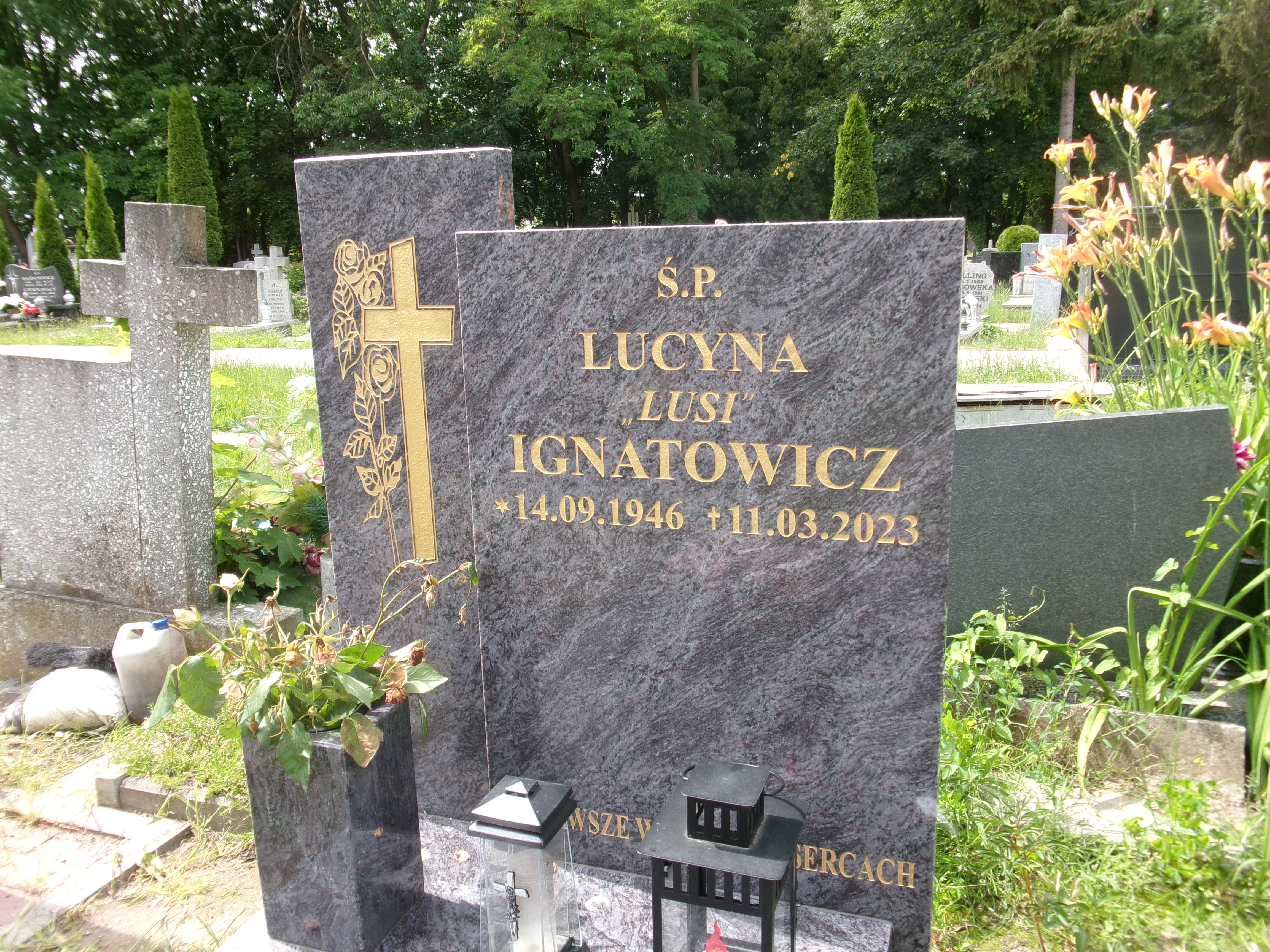 Lucyna Ignatowicz 1946 Elbląg - Grobonet - Wyszukiwarka osób pochowanych