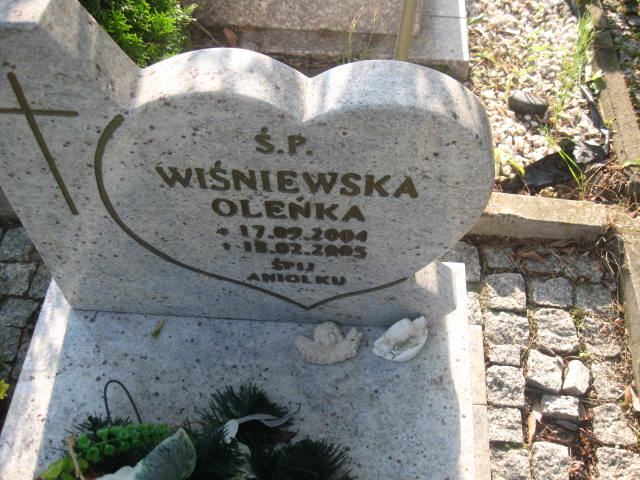 Aleksandra Wiśniewska 2004 Elbląg - Grobonet - Wyszukiwarka osób pochowanych